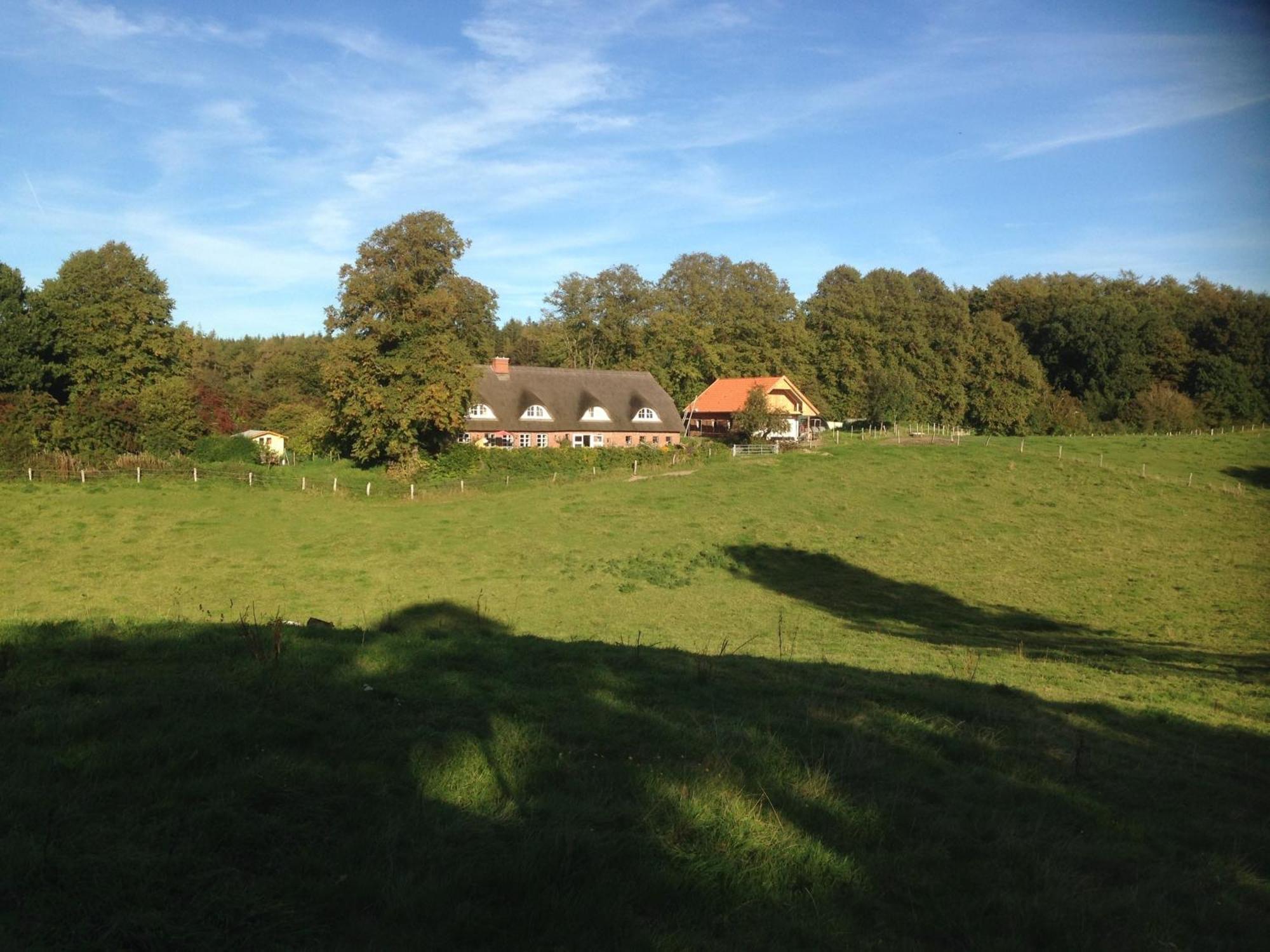 Hoheluft Am Wittensee Apt 3 Gross Wittensee ภายนอก รูปภาพ